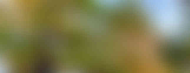 Herbsttage am Mondsee