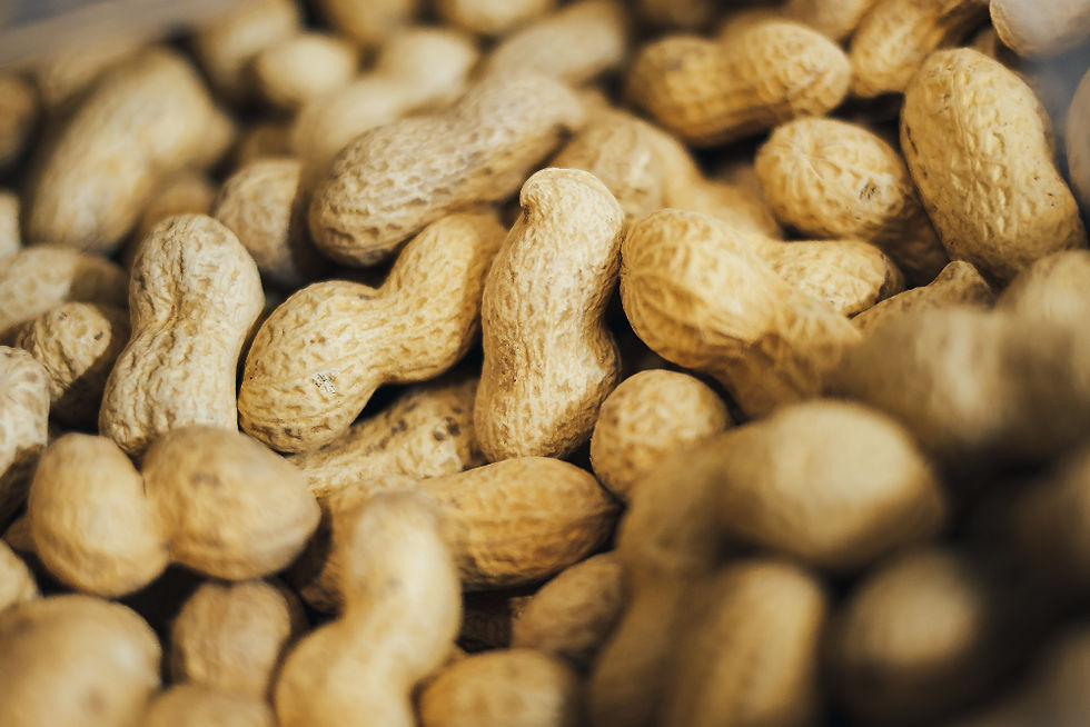 Erdnussöl gesund