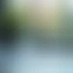 The Importance of Human Risk Cybersecurity in Today's Digital World