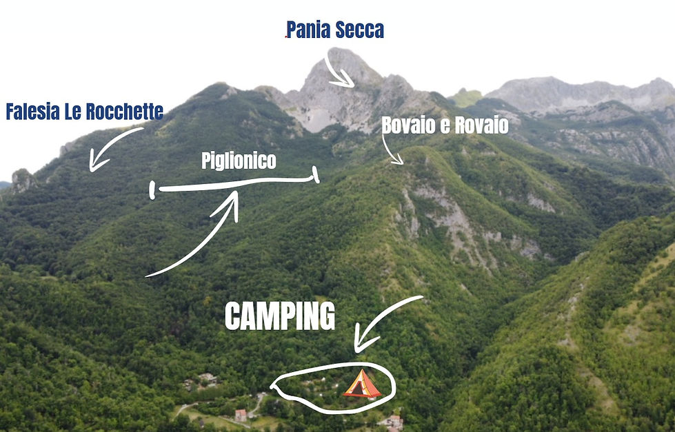 WhatsApp Image 2025-11-22 at 17.51.45.jpeg