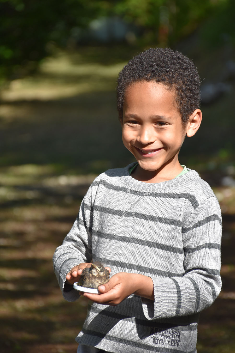 Free Activities for Children – Nature Camping in Italy