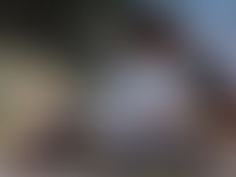 Enjoy Our Lodge Area Barbecue & Free Firewood at a'Zania Camping