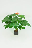 448VPG 58-13A.1A.JPG