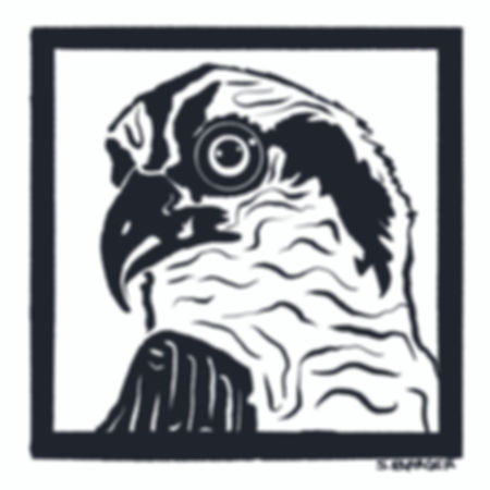 Osprey (4x4")