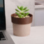 Regen Eco Planting Pot