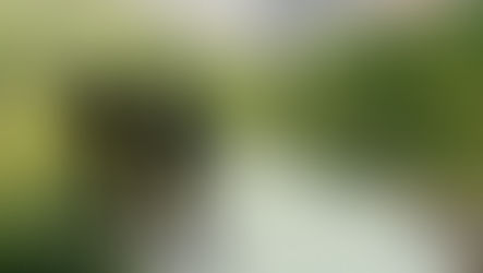 Ever Forward: the Evolution of the 7 Habits for Transformational Leadership Framework