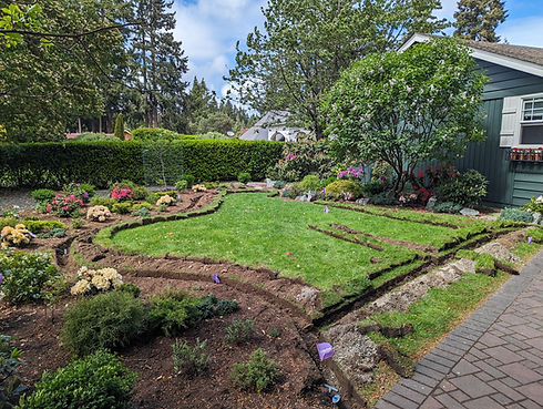 work in prog better pic.jpg