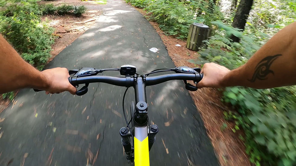 VTT dans la jungle d'Angkor