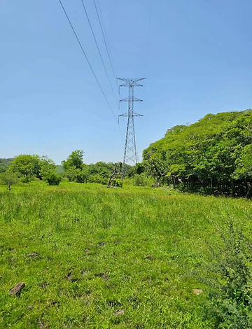 WhatsApp Image 2025-10-18 at 12.45.35 AM (4).jpeg