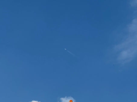 最近寒さが際立ちます🥶