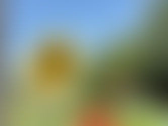 お盆終わってもまだ暑い☀️😵💦