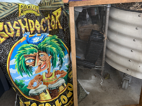 What I'm Using for Seed Starting