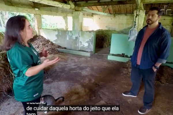 Home compostagem.jpg