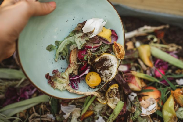 Home compostagem.jpg