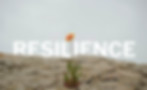 resilience_header_03.jpg