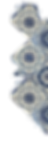 XP_brand2-18.png
