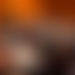 An orchestra full of musicians look at their sheet music as they play their instruments. 