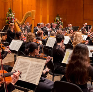 An orchestra full of musicians look at their sheet music as they play their instruments. 