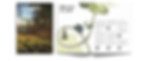 Titelseite als Mockup.jpeg