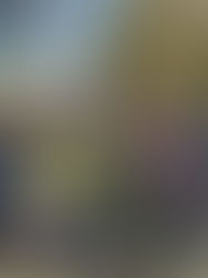 2026年1月10日　新春登山 愛宕山　　９２４ 月の輪寺コース 