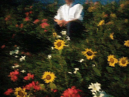 LESSON TO LAW ENFORCEMENT TO APPLY THEIR MINDS: A LEGAL ANALYSIS OF THE Mkhabela v Minister of Police & NDPP