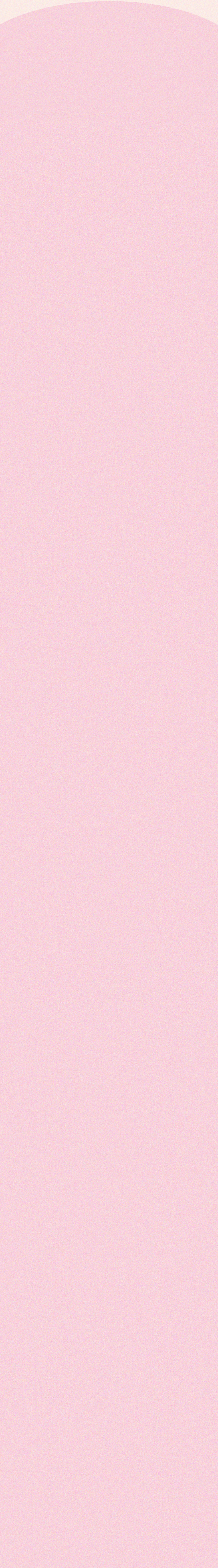Pink Poppy Flowers