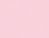 Pink Poppy Flowers