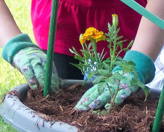 gardeners for life!