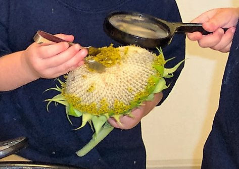 hands-on science