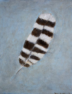 Sriped hawk tail feathe on blue background 12x14"