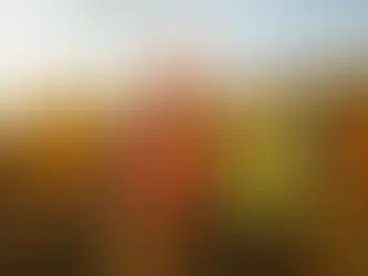 CAD ve GIS Uygulamaları Nedir