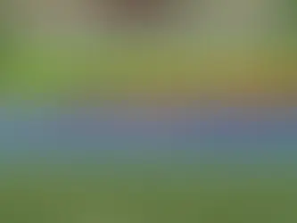 Fotogrametri ve Hiperspektral