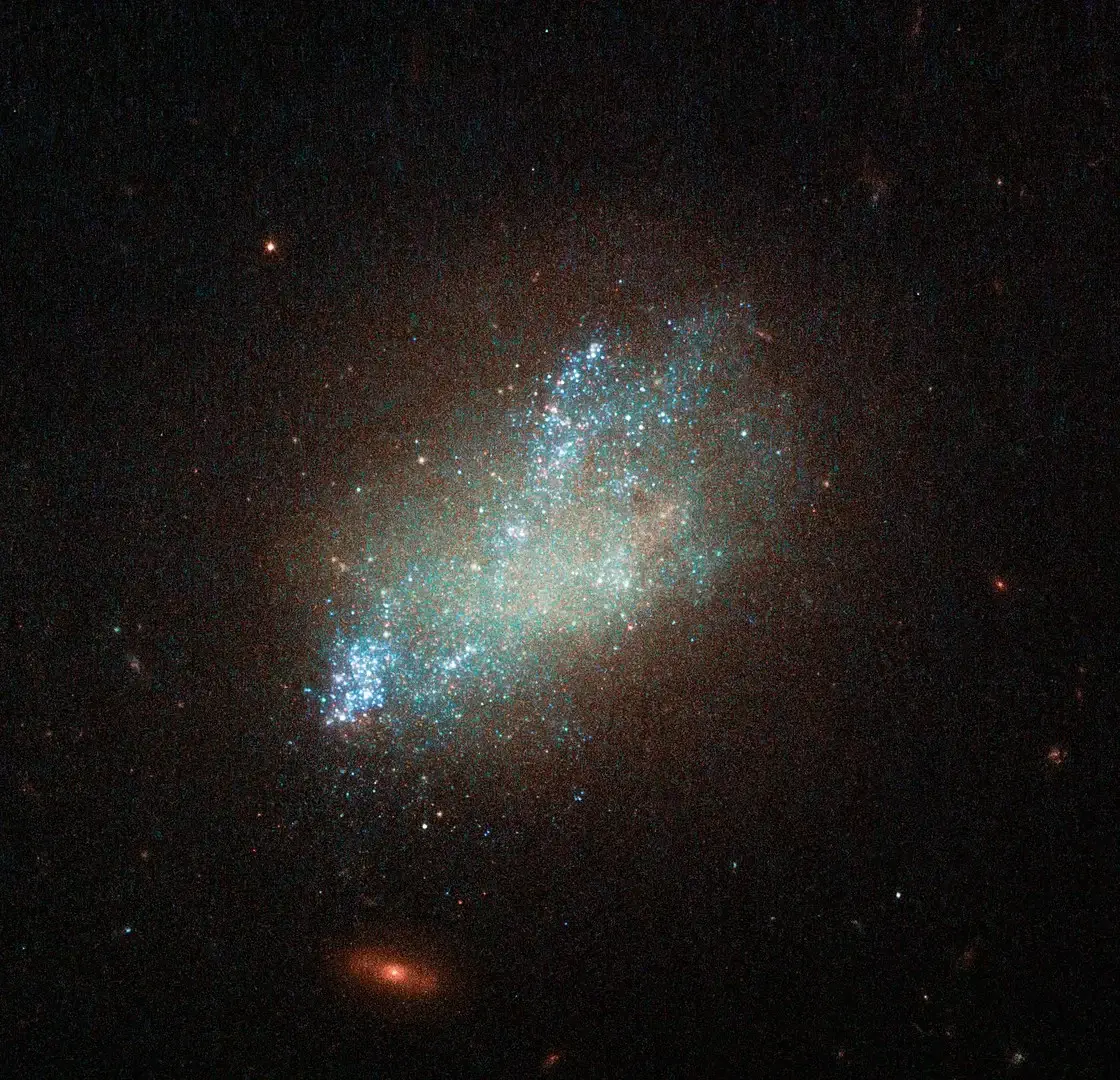 IC 559