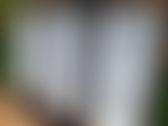 VOLVERÁ LA CERVEZA EL PRIMERO DE JUNIO