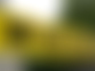 Ganaderos afectados por la sequía ven esperanza en mercado de EU