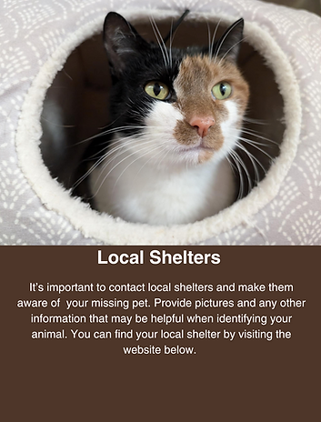 Kennel Sponsorship (7).png