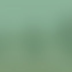 Distinguish Lawful Humanitarian Pathways into the United States