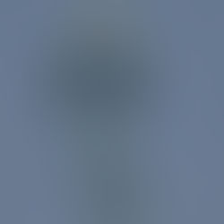 On the 2024 U.S. election results