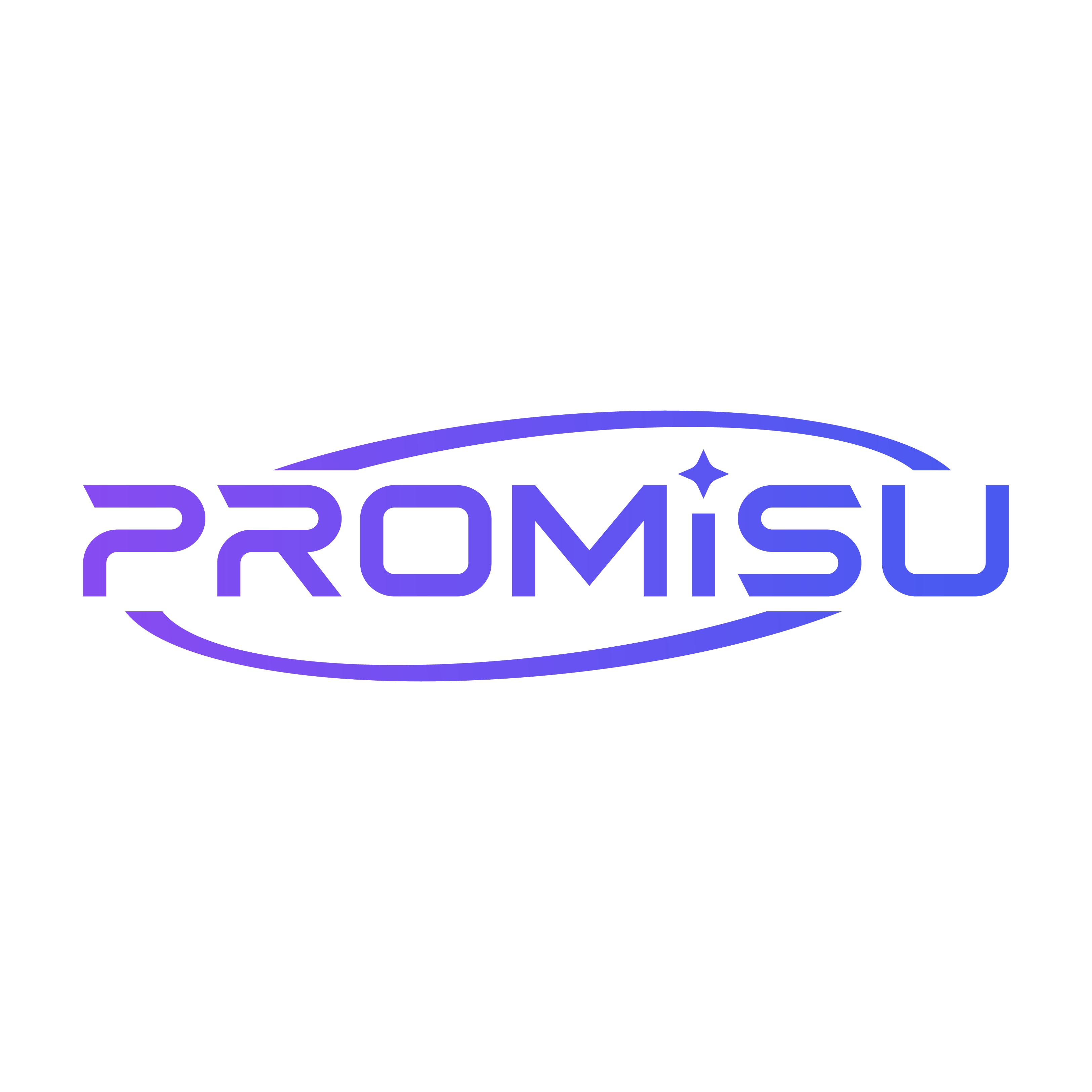 PROMISU