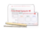 Bioguard Feline blood typing test kit