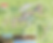 PlanCapEsterel-1045x850.png