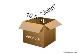 JAVA VARIABLE