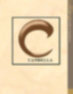ORIGINAL CATALOGUE