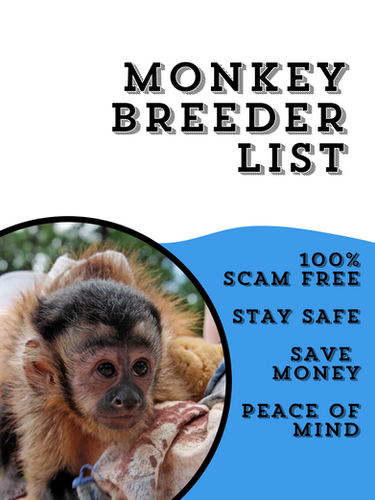 Monkey Breeders- Digital File | JEAR
