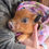Thumbnail: pet mini pig for sale