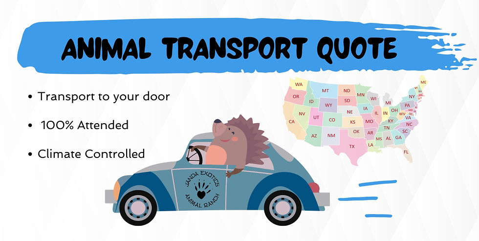 Exotic animal transportation to your door, shipping live animals