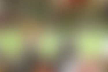 Visite terrain du Ministre des Sports de la Jeunesse et de l'Emploi à Espoir City