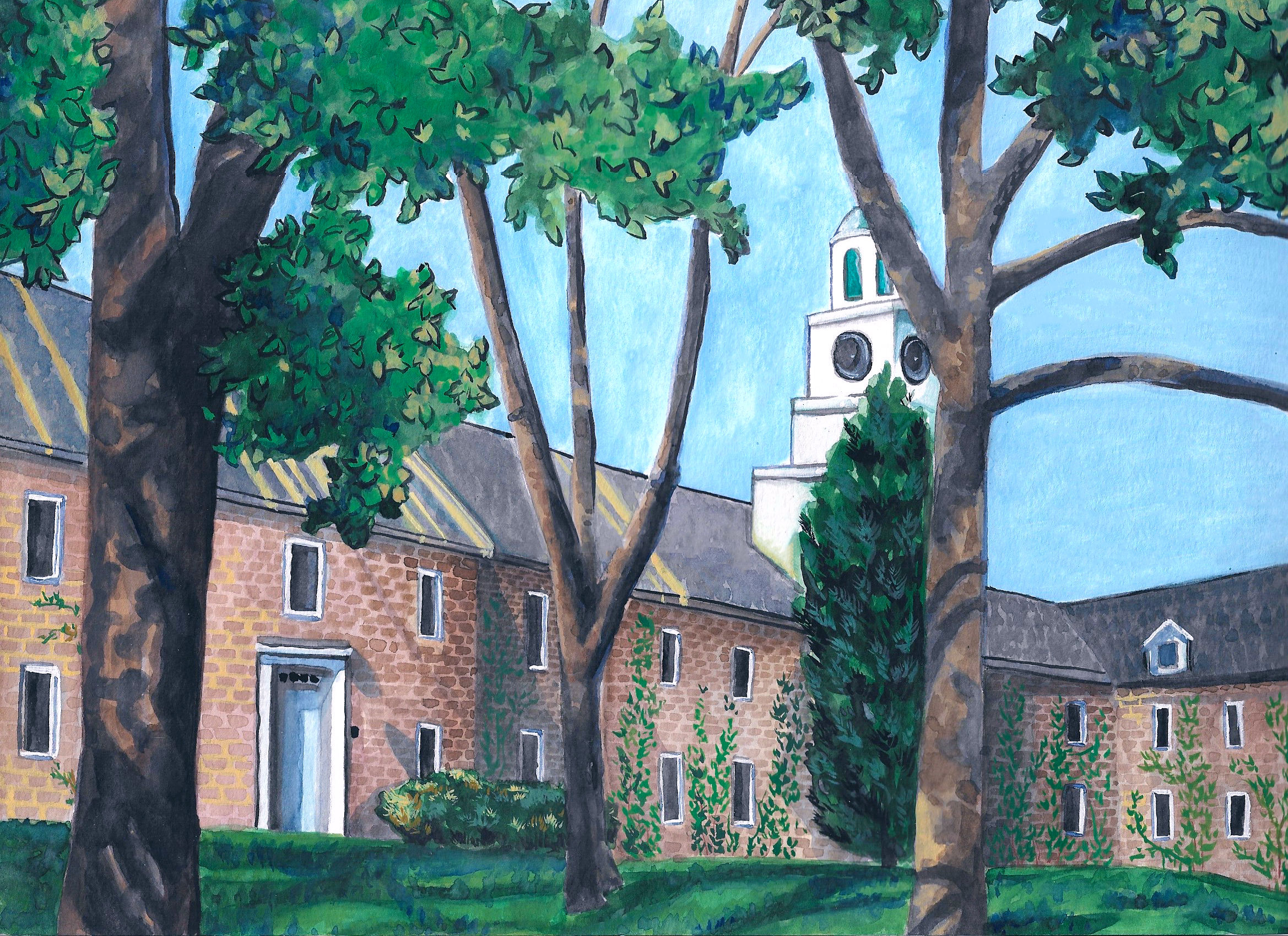 Climbing Ivy on Sykes Prints