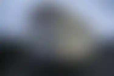 Kültür taş kaplamalı mobil kafe ön tasarımı