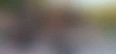 Emprenyeli ahşap kaplama konteyner ev